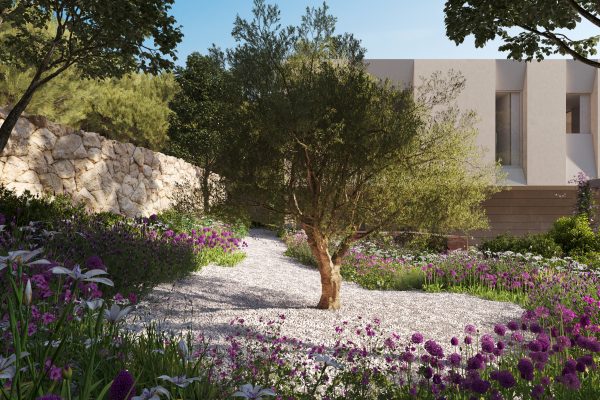 Copy of BS_97-SCT_VV_NC06_01